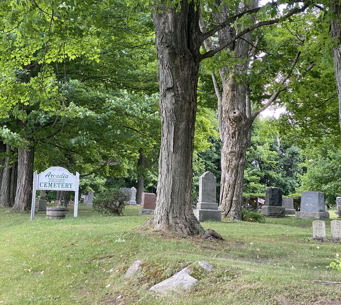 Lum - June 2020 Arcadia Twp Cemetery